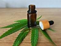 Unravelling the Doubts of First Time Users of CBD Regarding Its&nbsp;Effectiveness